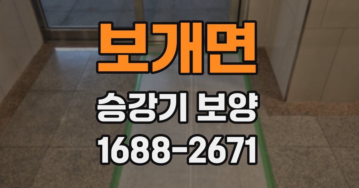 보개면 승강기 보양