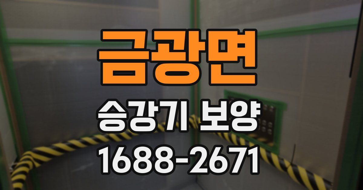 금광면 승강기 보양