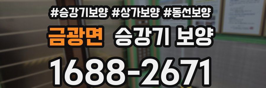 금광면 승강기 보양
