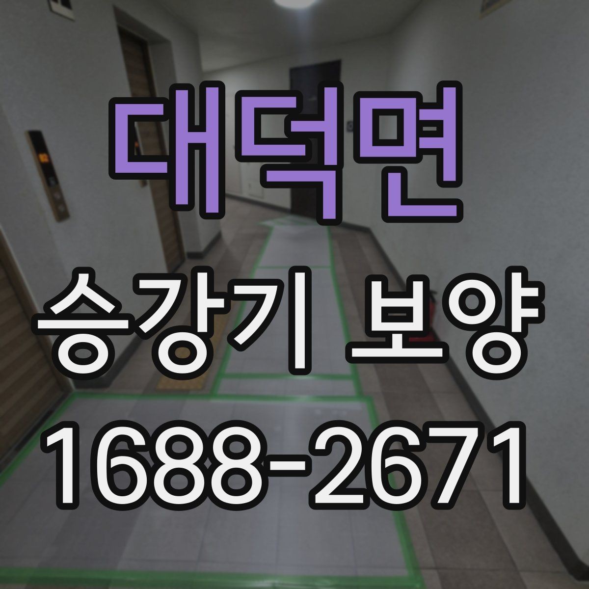 대덕면 승강기 보양 공정의 핵심 포인트만 정리