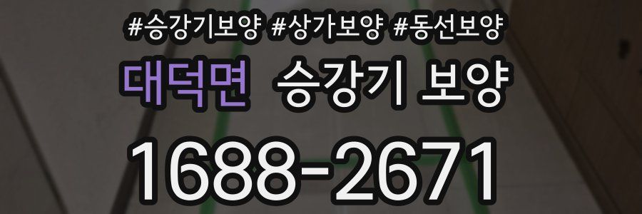대덕면 승강기 보양