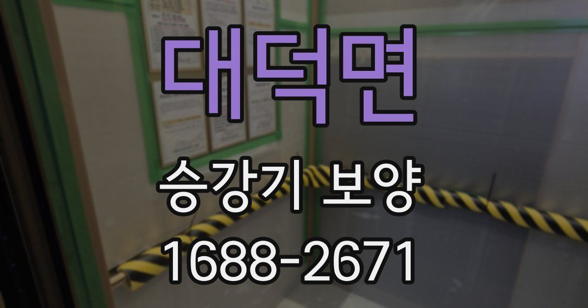 대덕면 승강기 보양