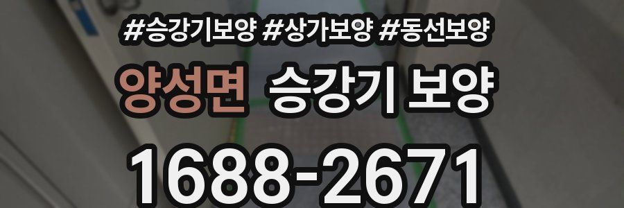 양성면 승강기 보양