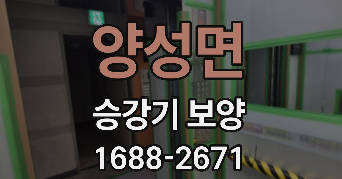 양성면 승강기 보양