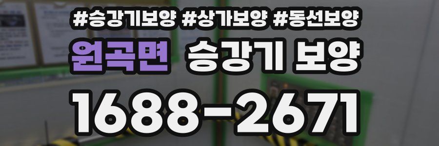 원곡면 승강기 보양