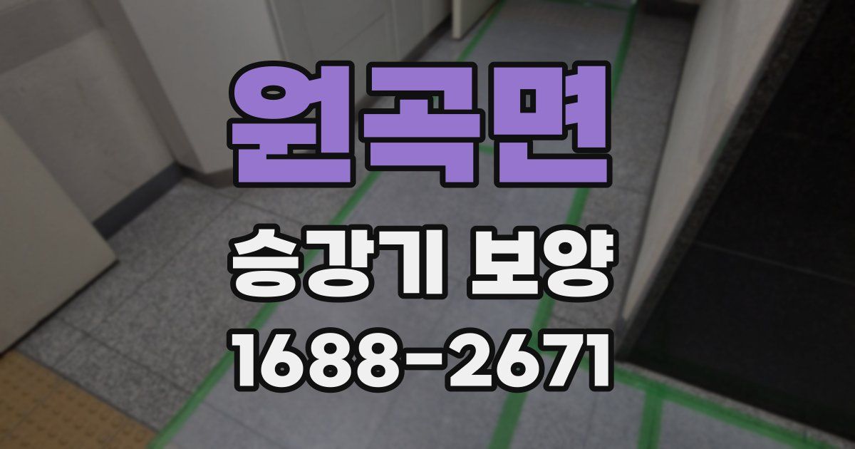 원곡면 승강기 보양