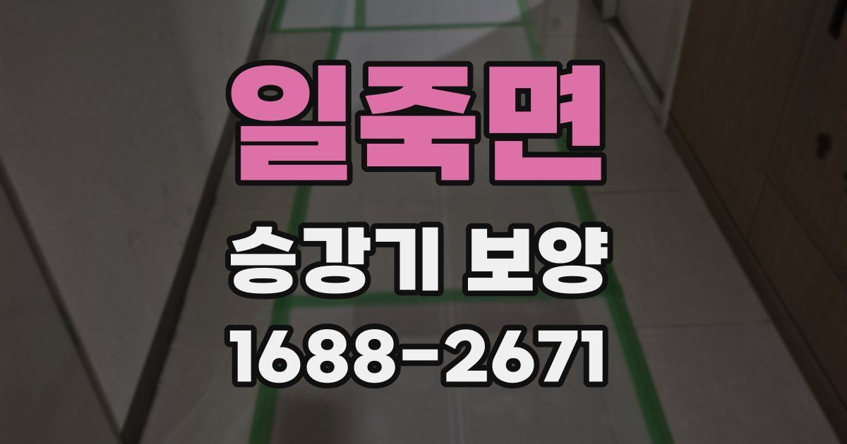 일죽면 승강기 보양