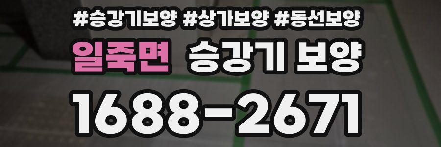 일죽면 승강기 보양