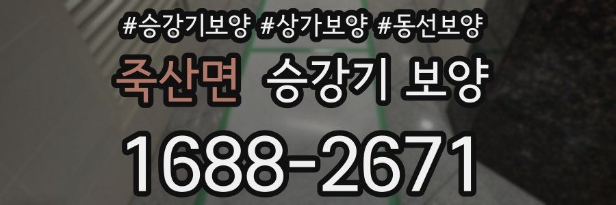 죽산면 승강기 보양