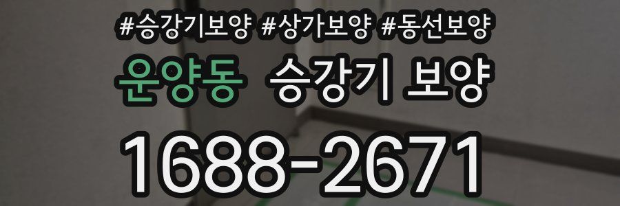 운양동 승강기 보양