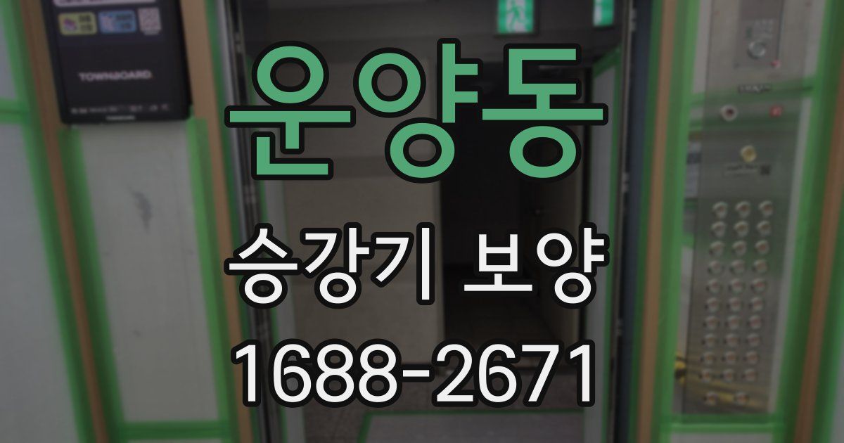 운양동 승강기 보양