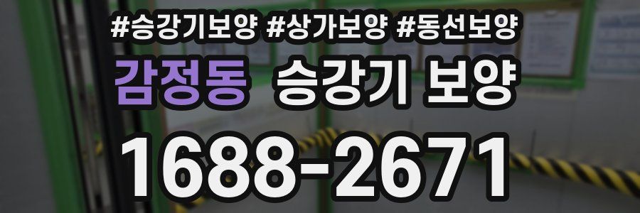 감정동 승강기 보양