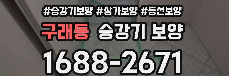 구래동 승강기 보양