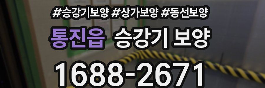 통진읍 승강기 보양