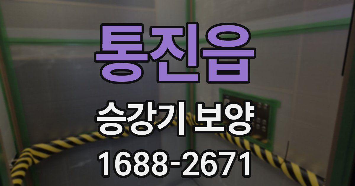통진읍 승강기 보양