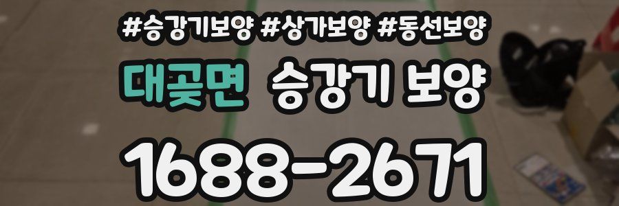 대곶면 승강기 보양