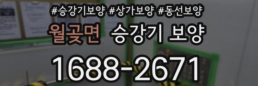 월곶면 승강기 보양