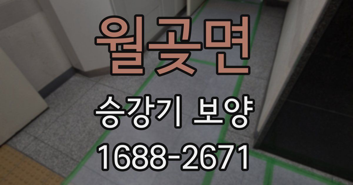 월곶면 승강기 보양