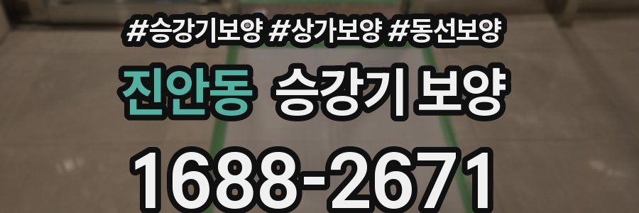 진안동 승강기 보양