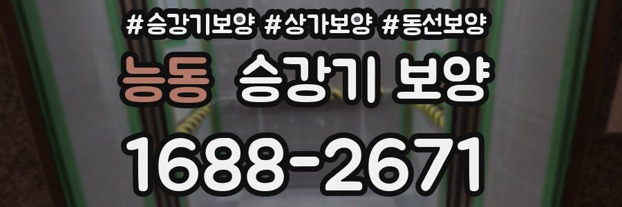 능동 승강기 보양