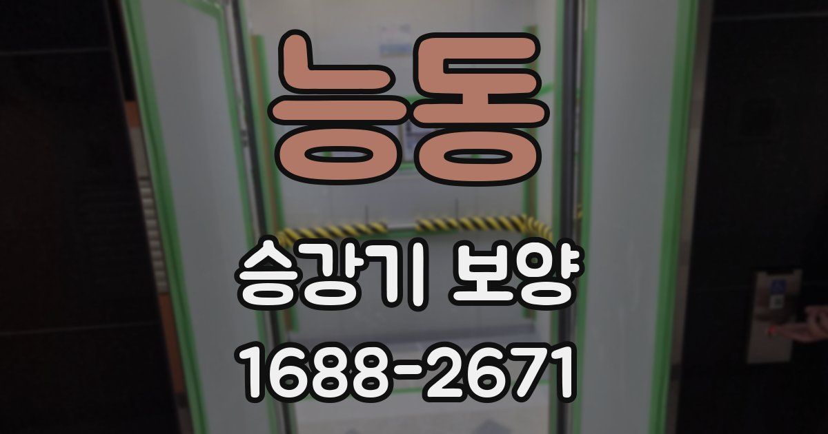 능동 승강기 보양