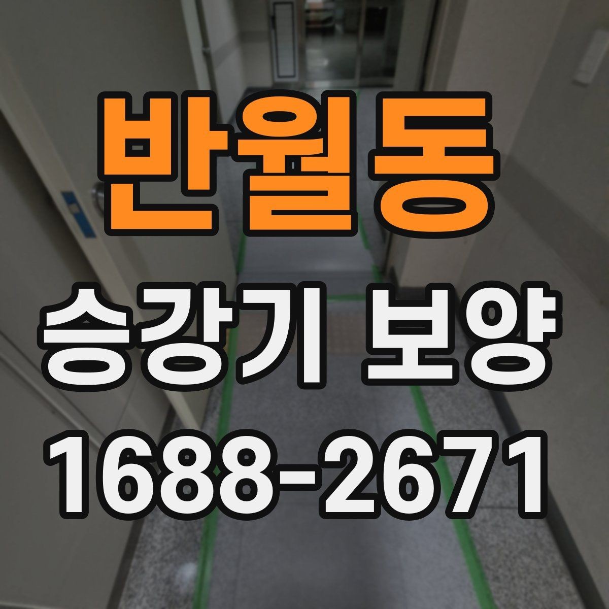 반월동 승강기 보양 견적 차이를 만드는 요소
