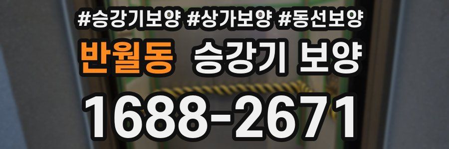 반월동 승강기 보양