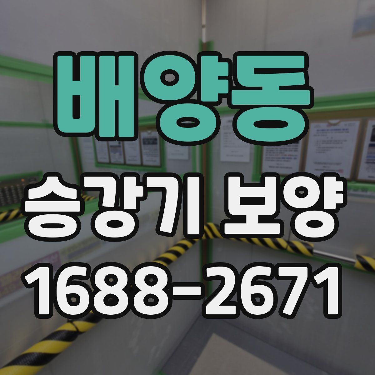 배양동 승강기 보양 일정이 늦어질 때 대응 방법