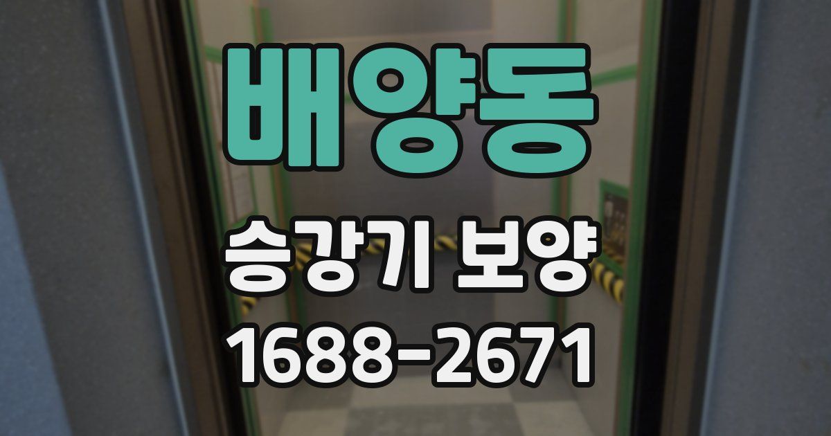 배양동 승강기 보양