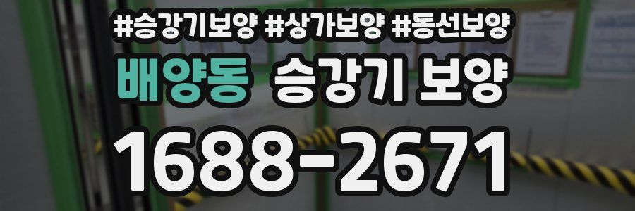 배양동 승강기 보양