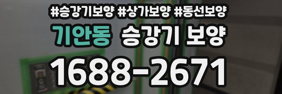 기안동 승강기 보양