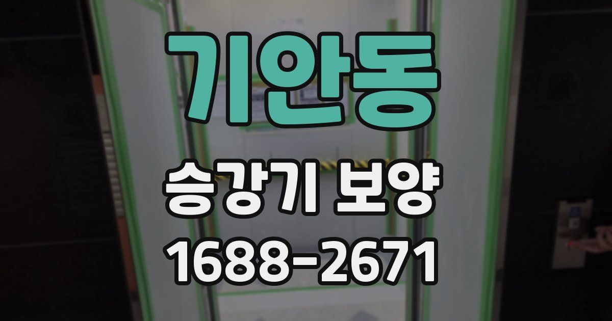 기안동 승강기 보양