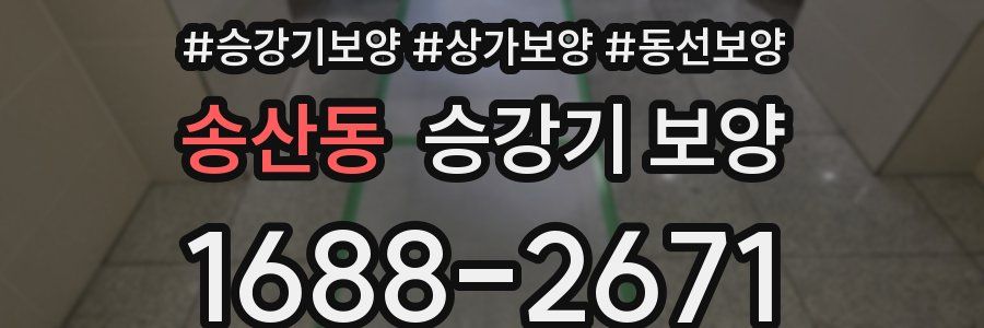 송산동 승강기 보양