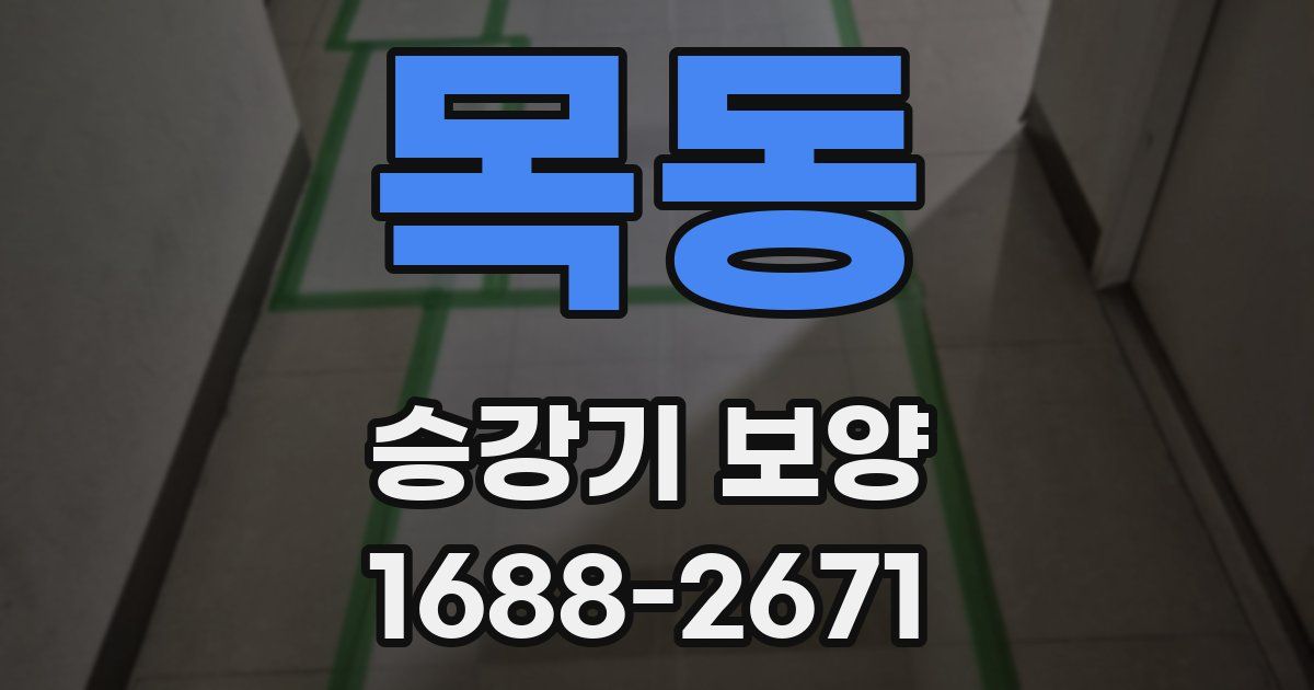 목동 승강기 보양