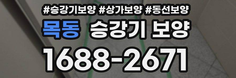 목동 승강기 보양
