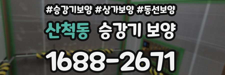 산척동 승강기 보양