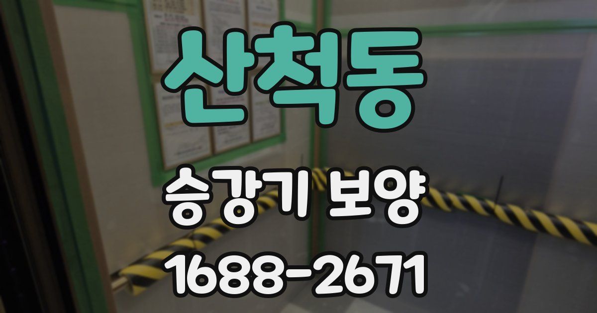 산척동 승강기 보양