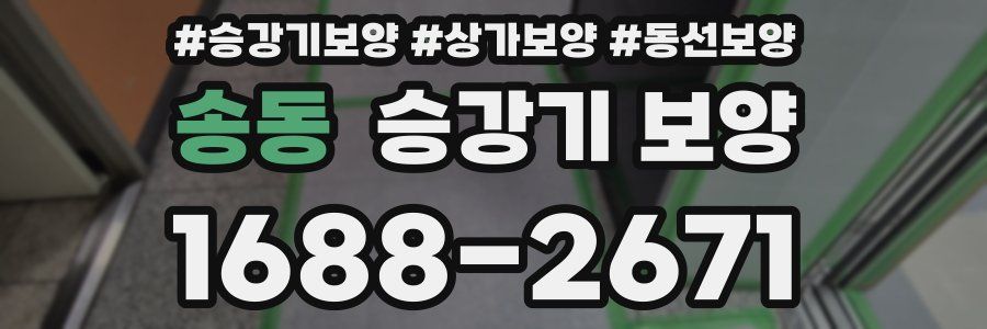 송동 승강기 보양
