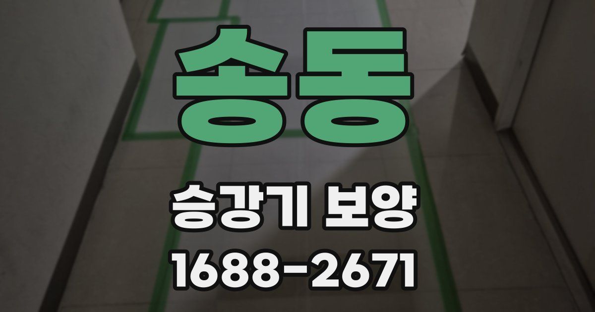 송동 승강기 보양
