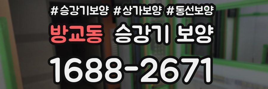 방교동 승강기 보양