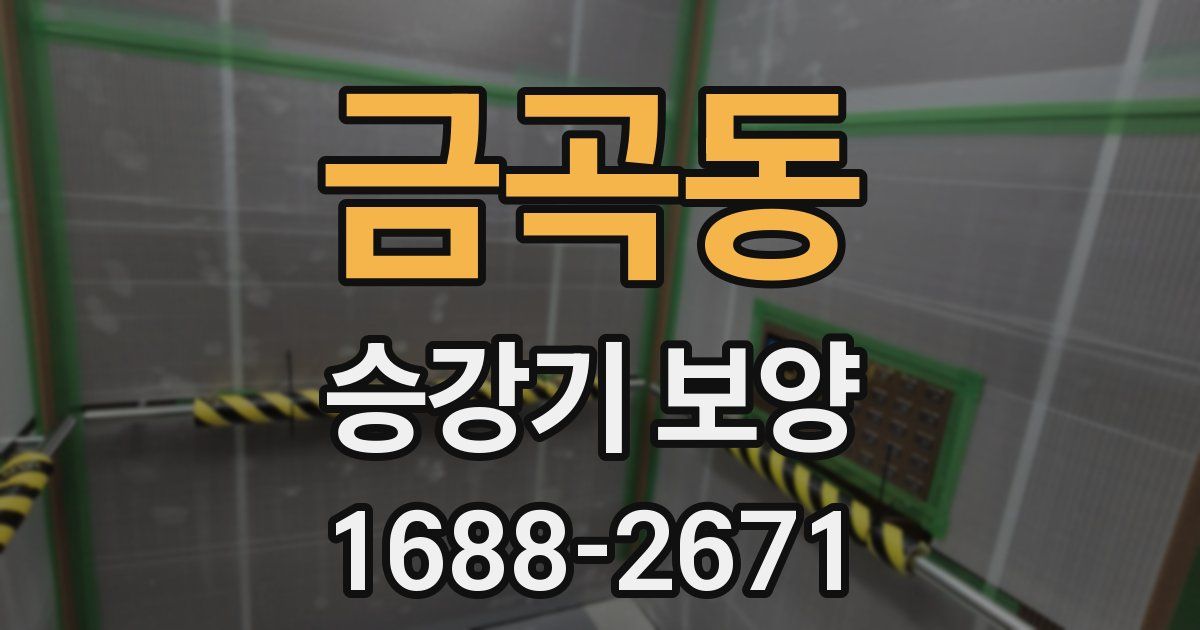 금곡동 승강기 보양