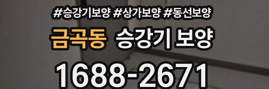 금곡동 승강기 보양
