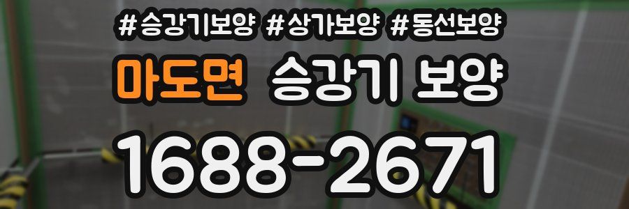 마도면 승강기 보양