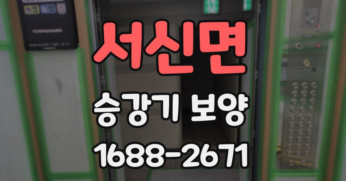 서신면 승강기 보양