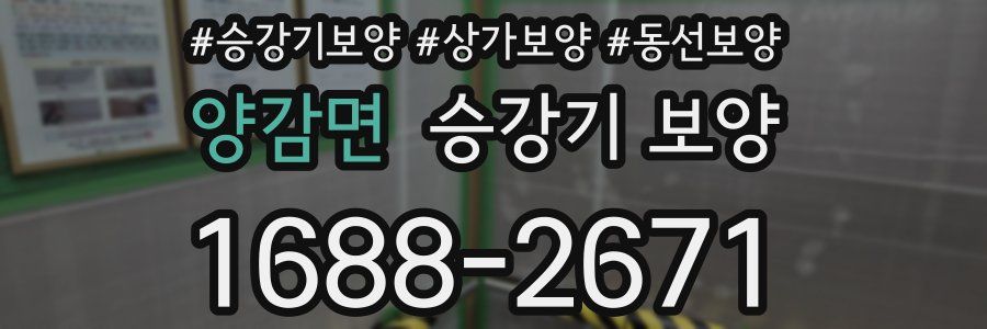양감면 승강기 보양