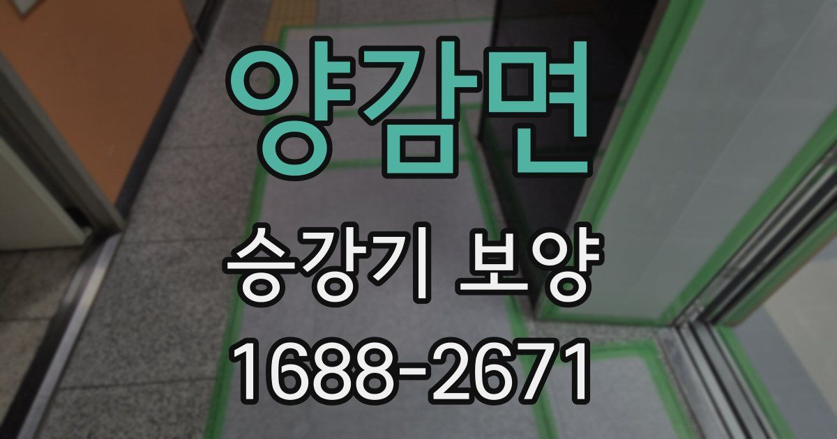 양감면 승강기 보양
