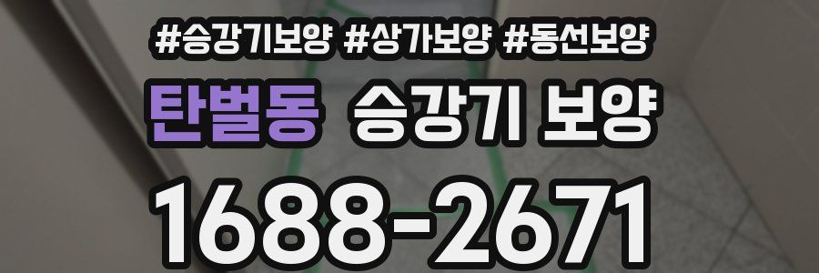 탄벌동 승강기 보양