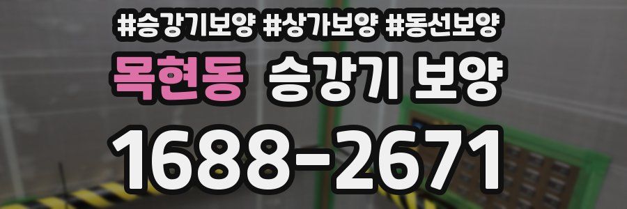 목현동 승강기 보양