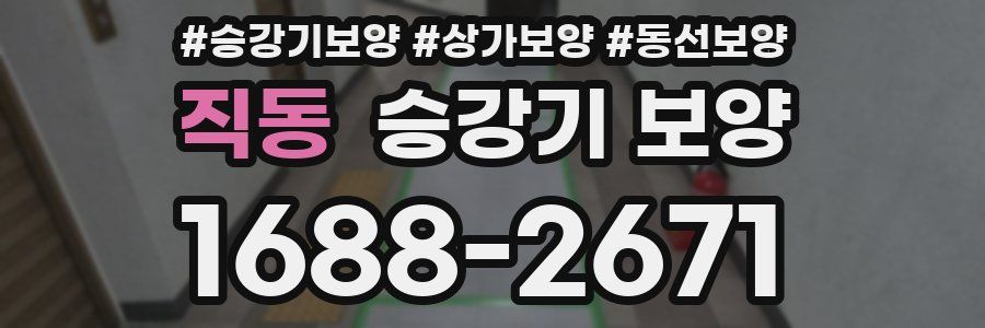 직동 승강기 보양