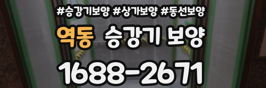 역동 승강기 보양